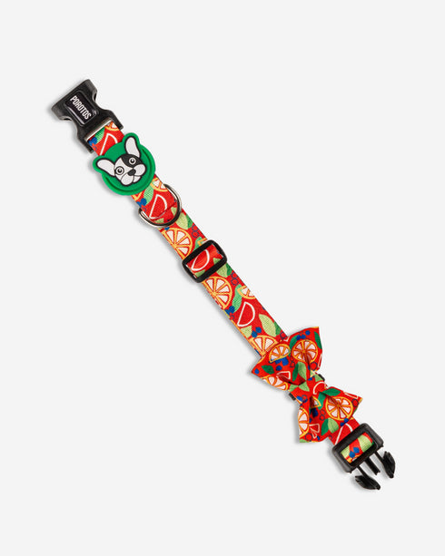 Collar con Moño Frutal